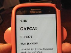 The Gapcai Effect Book Review - W.S. Jenkins