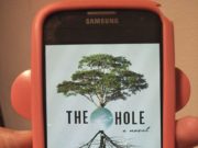 The Hole by Hye-Young Pyun (Translated by Sora Kim-Russell)