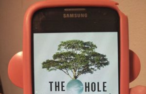 The Hole by Hye-Young Pyun (Translated by Sora Kim-Russell)