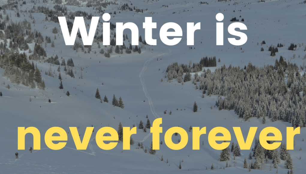 POETY 13 - Winter is Never Forever (FLYINTOBOOKS.COM)