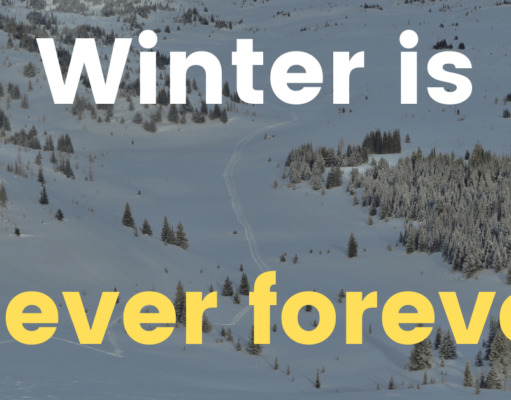 POETY 13 - Winter is Never Forever (FLYINTOBOOKS.COM)