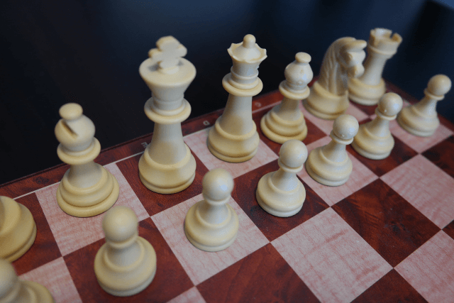 The Most Important Chess Pieces on the Chess Board: the King and the Queen (Flyintobooks.com)