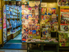 Action Shonen Manga: The Ultimate Guide to Thrilling Battles Action Shonen Manga - Ultimate Guide (flyintobooks)