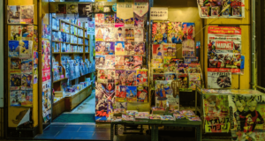 Action Shonen Manga - Ultimate Guide (flyintobooks)