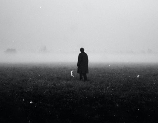 Korean Crime and Mystery Novels: Thrilling Reads from the Land of K-Dramas Korean Crime Novels and Korean Mystery Novels